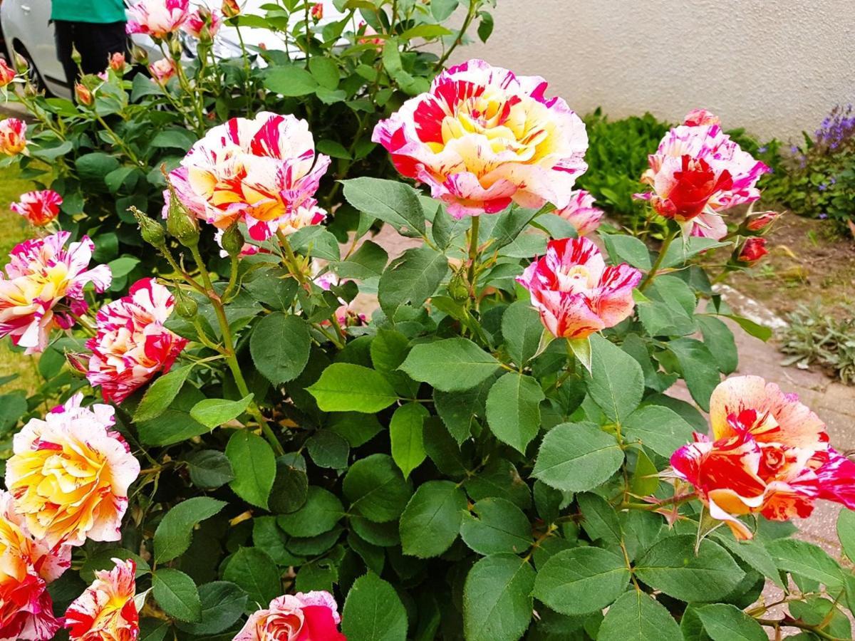 La Grange D'Aze Bed and Breakfast Buitenkant foto
